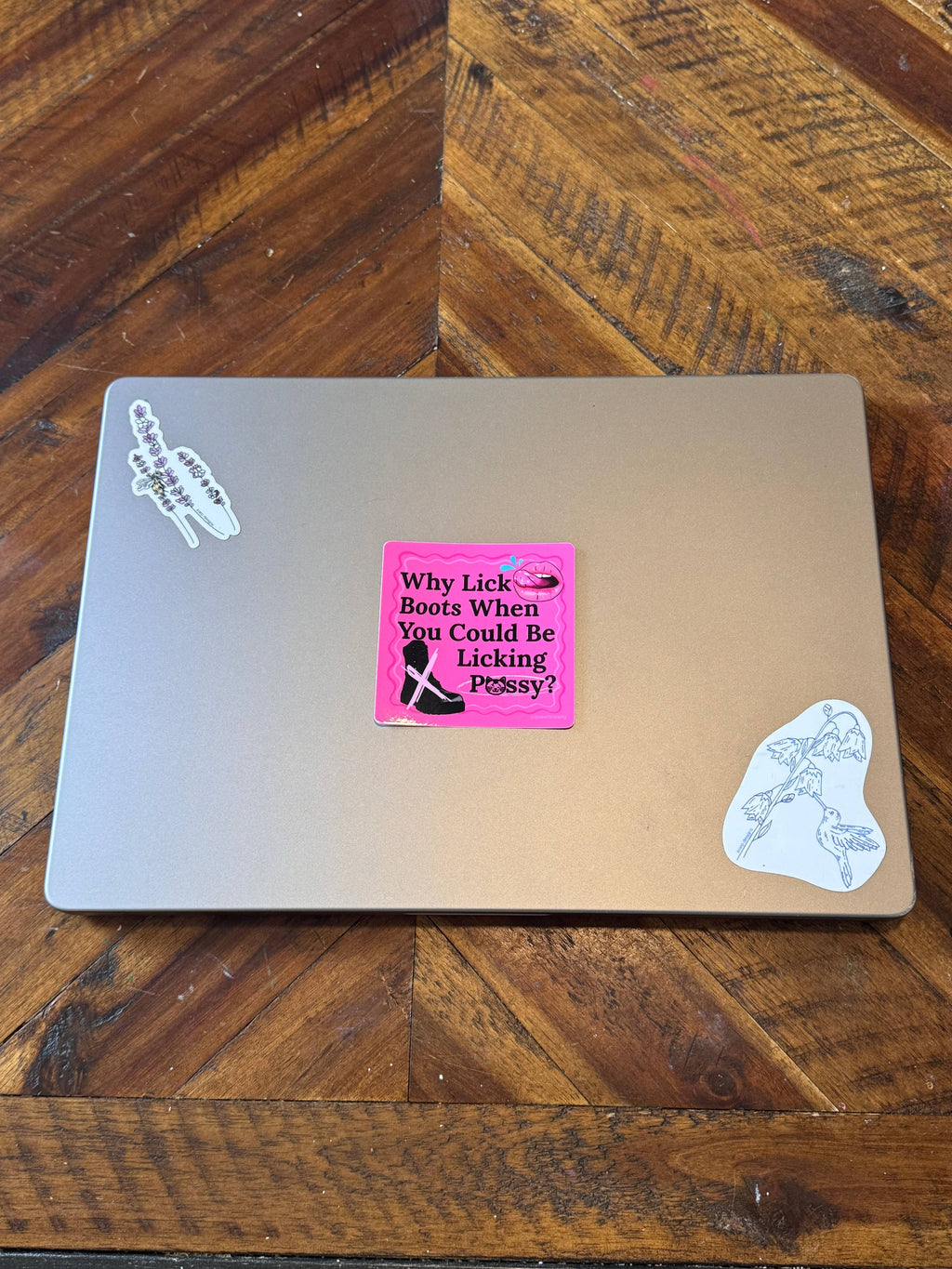Why Lick Boots When You Could Lick 😸 Sticker