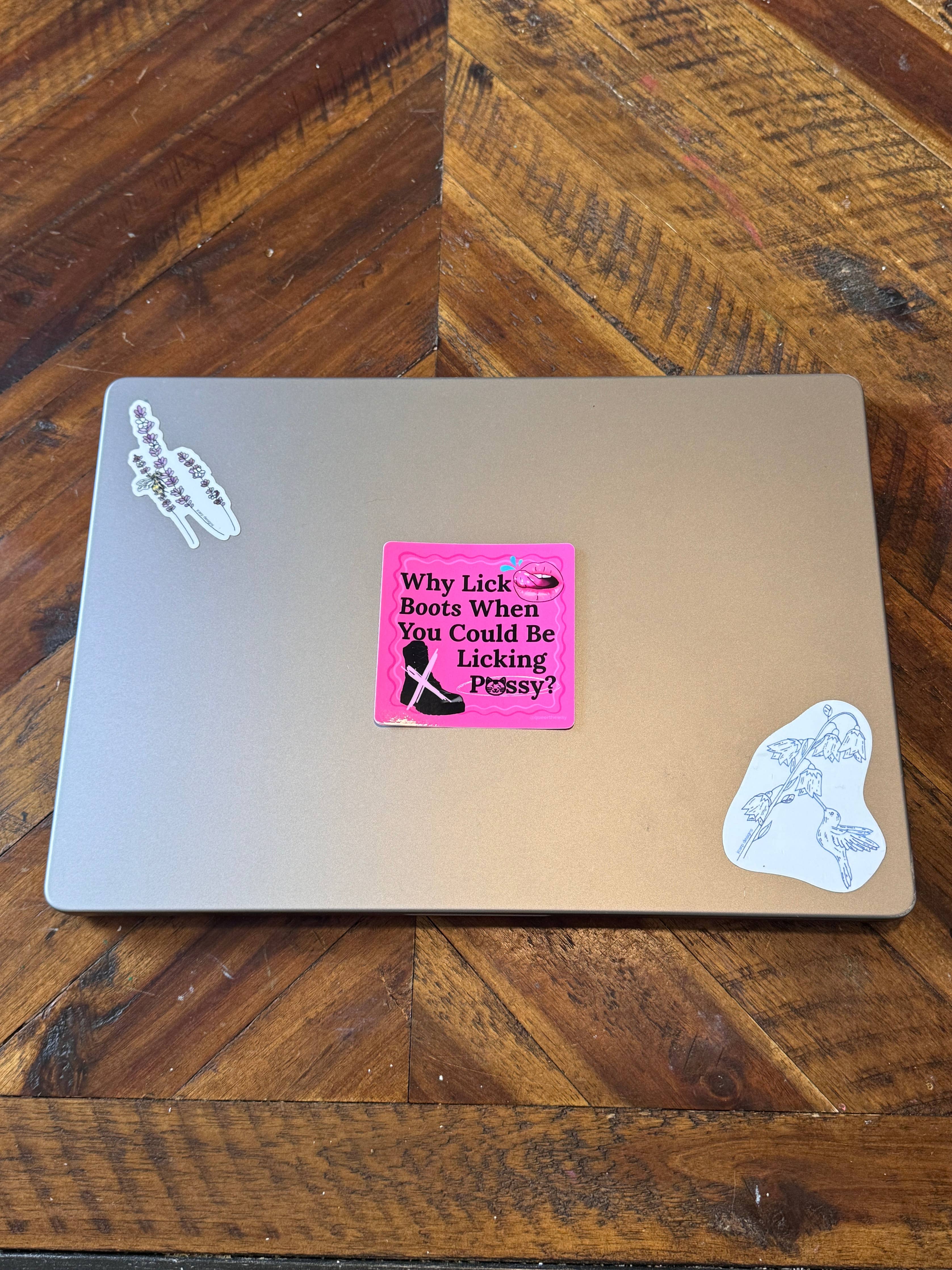 Why Lick Boots When You Could Lick 😸 Sticker