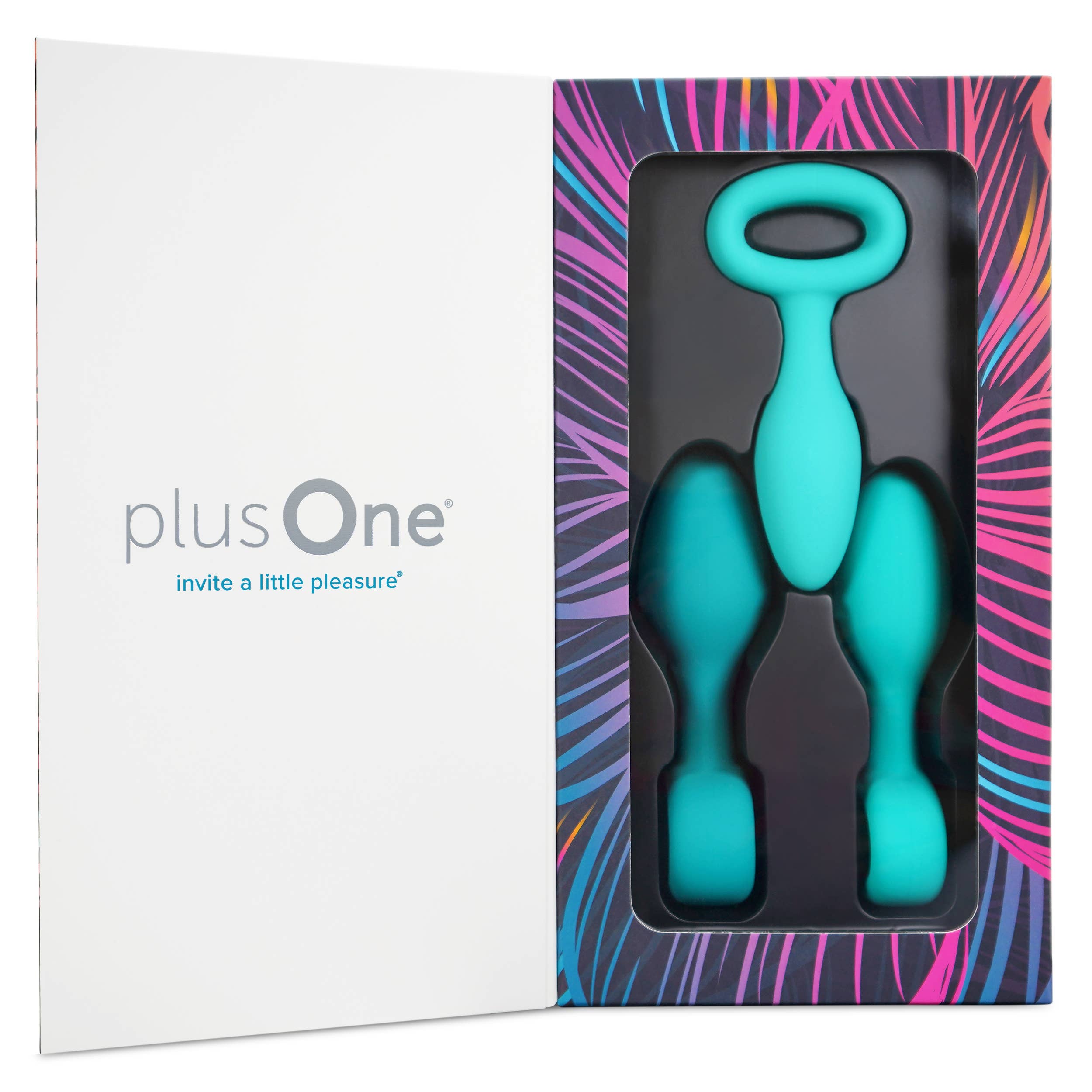 PlusOne 3pc Plug Training Set