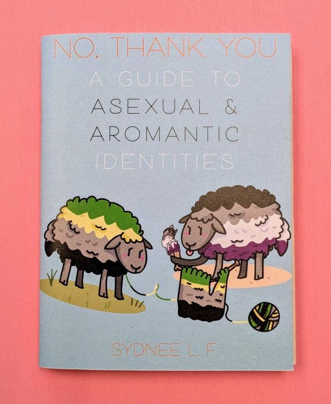 No Thank You: Guide to Asexual & Aromantic Identities (Zine