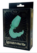 Zodiac Aquarius Mini Vibe