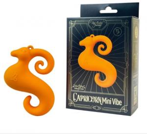 Zodiac Capricorn Mini Vibe