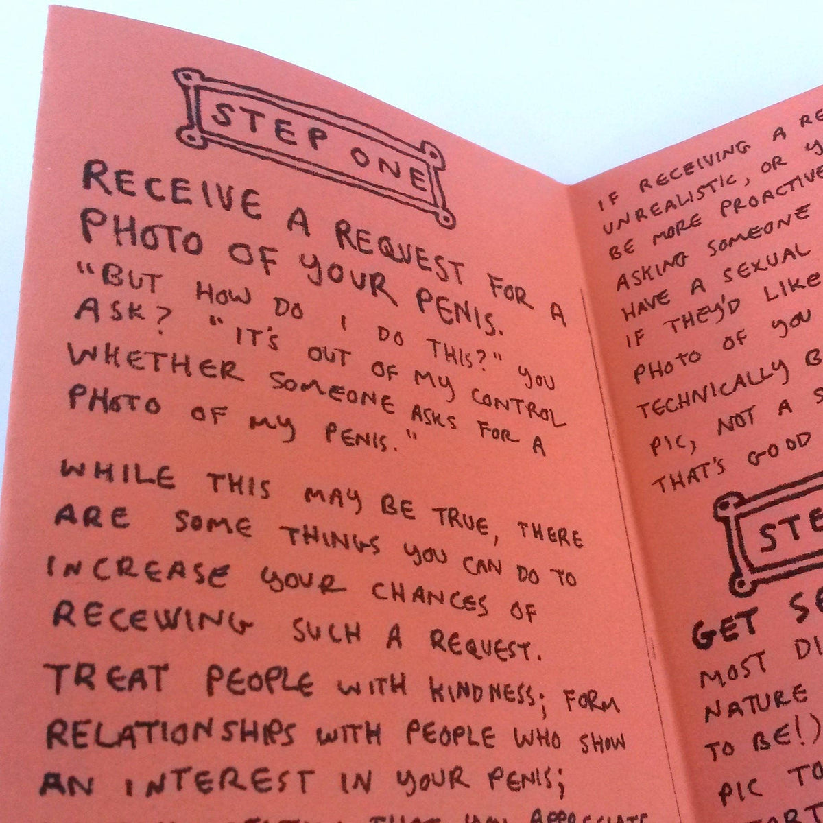 The Art of the Solicited Dick Pic Zine | Sex-Positive Feminist Consent Sex Education Zine